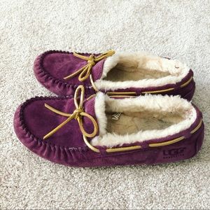 UGG Purple and Gold Slippers